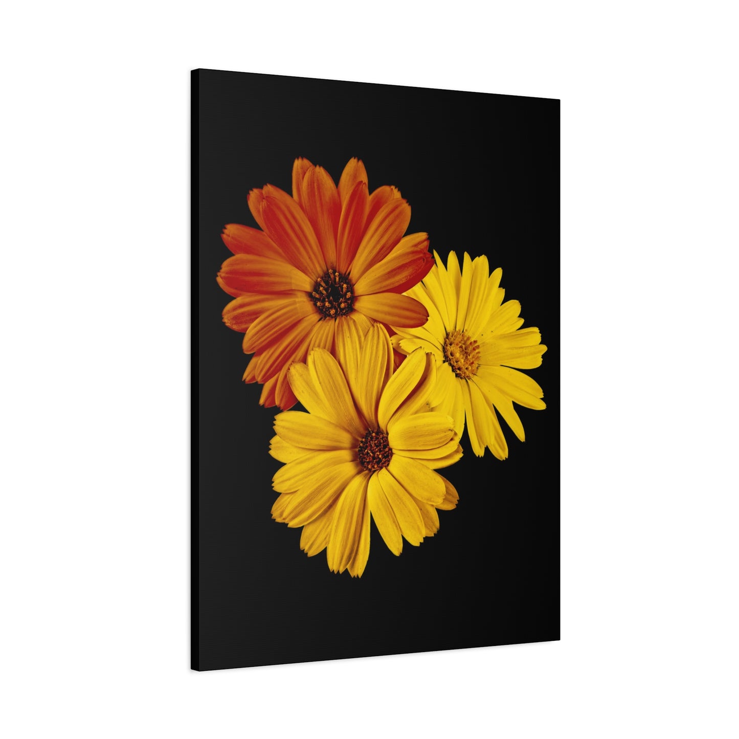 Collection Signature "FLORAL Numéro 4" sur Toile Fine Art sur Toile / Epaisseur 3,2cm - 1'25 po