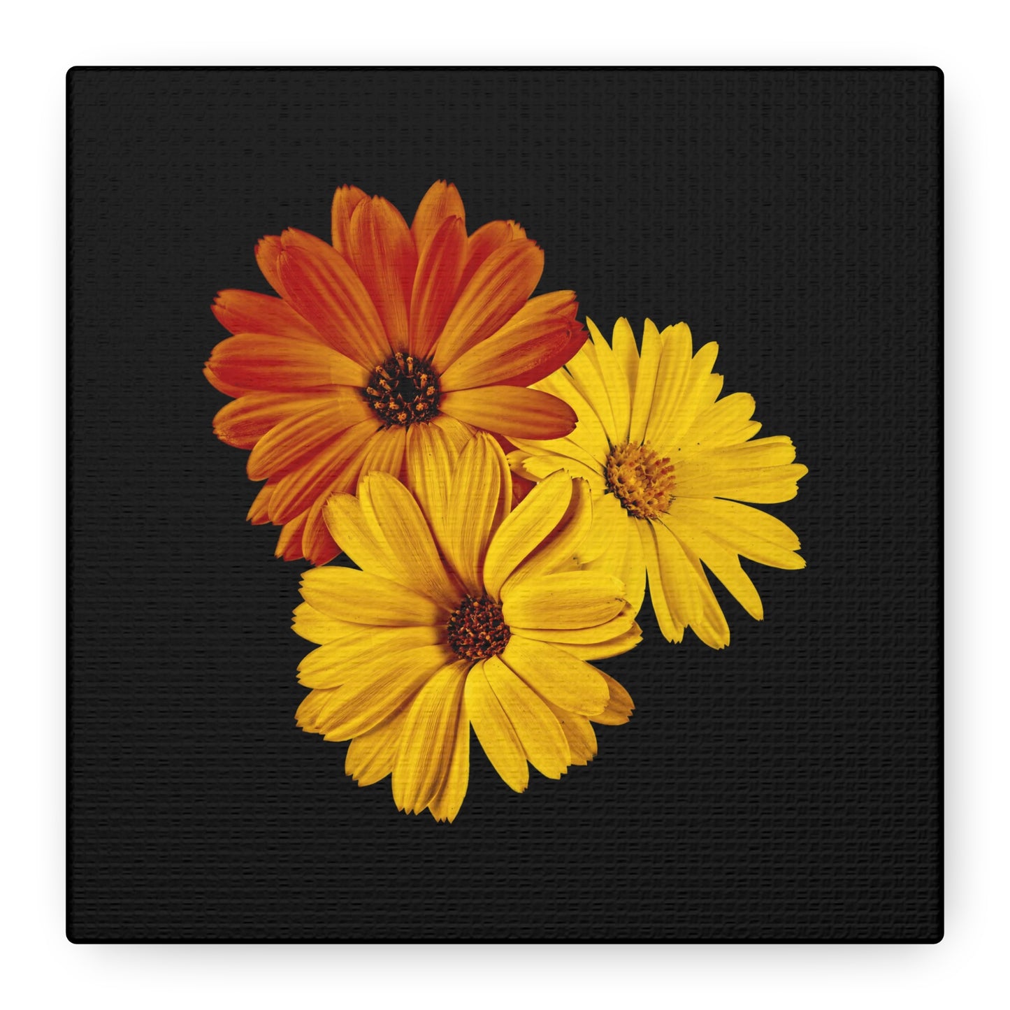 Collection Signature "FLORAL Numéro 4" sur Toile Fine Art sur Toile / Epaisseur 3,2cm - 1'25 po