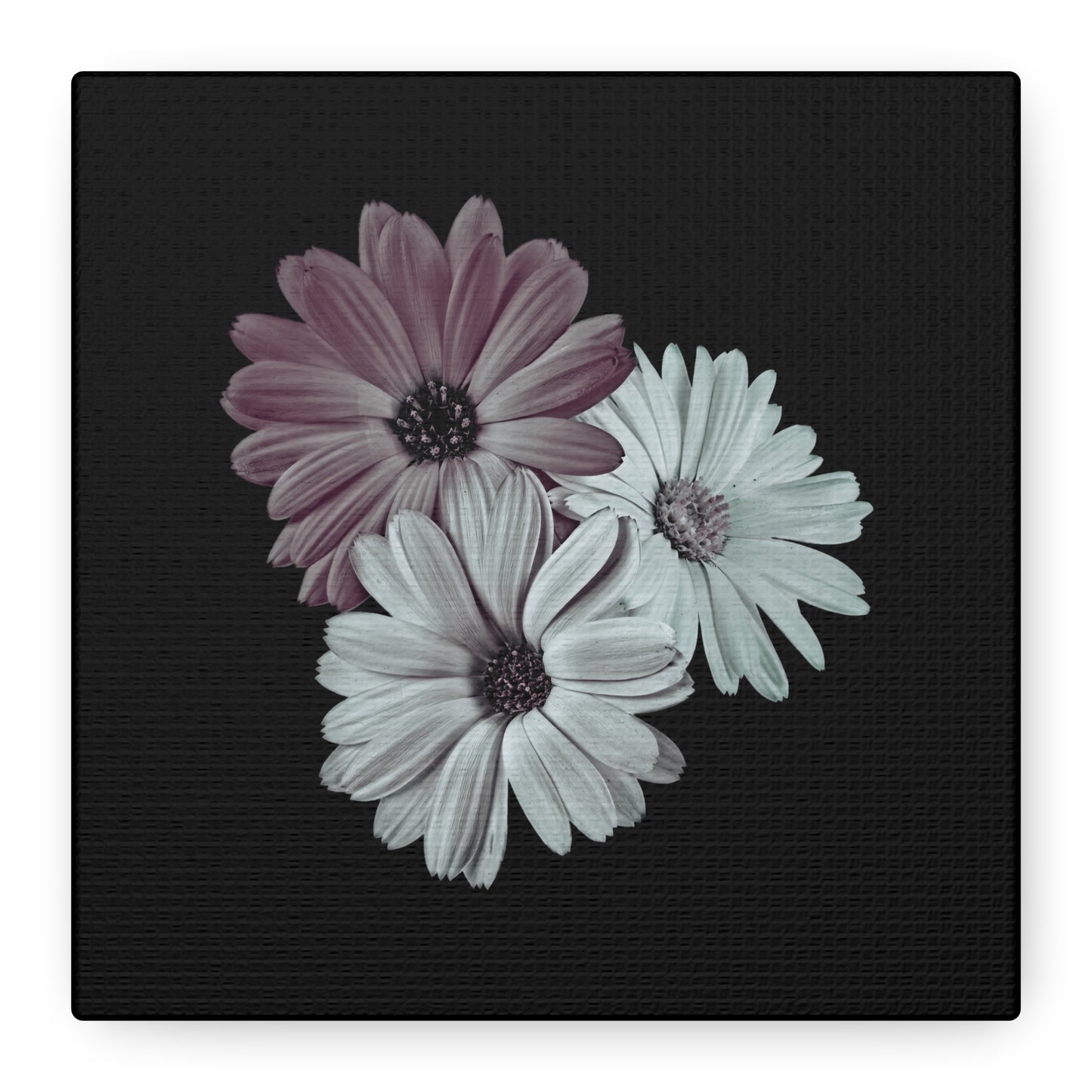 Collection Signature "FLORAL Numéro 5" sur Toile Fine Art sur Toile / Epaisseur 3,2cm - 1'25 po