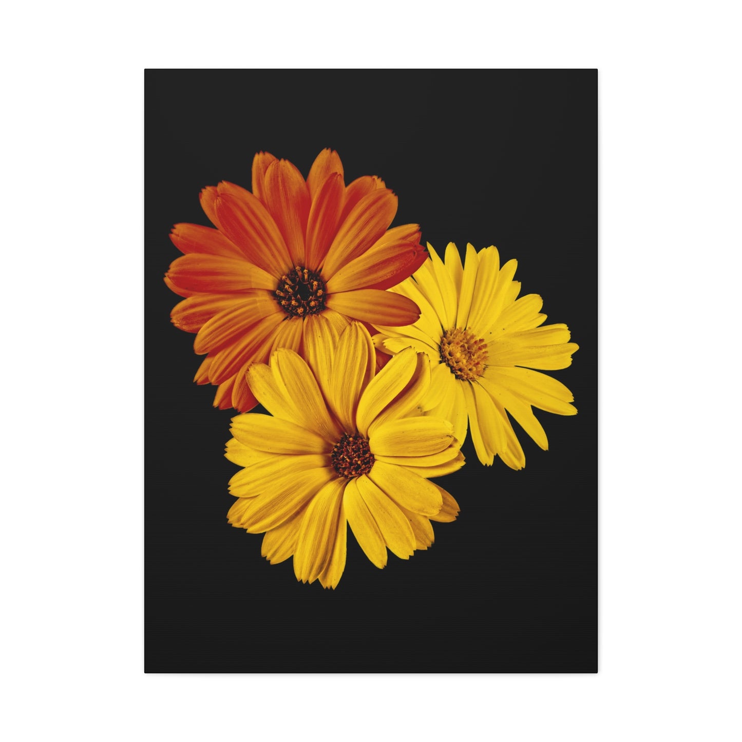 Collection Signature "FLORAL Numéro 4" sur Toile Fine Art sur Toile / Epaisseur 3,2cm - 1'25 po