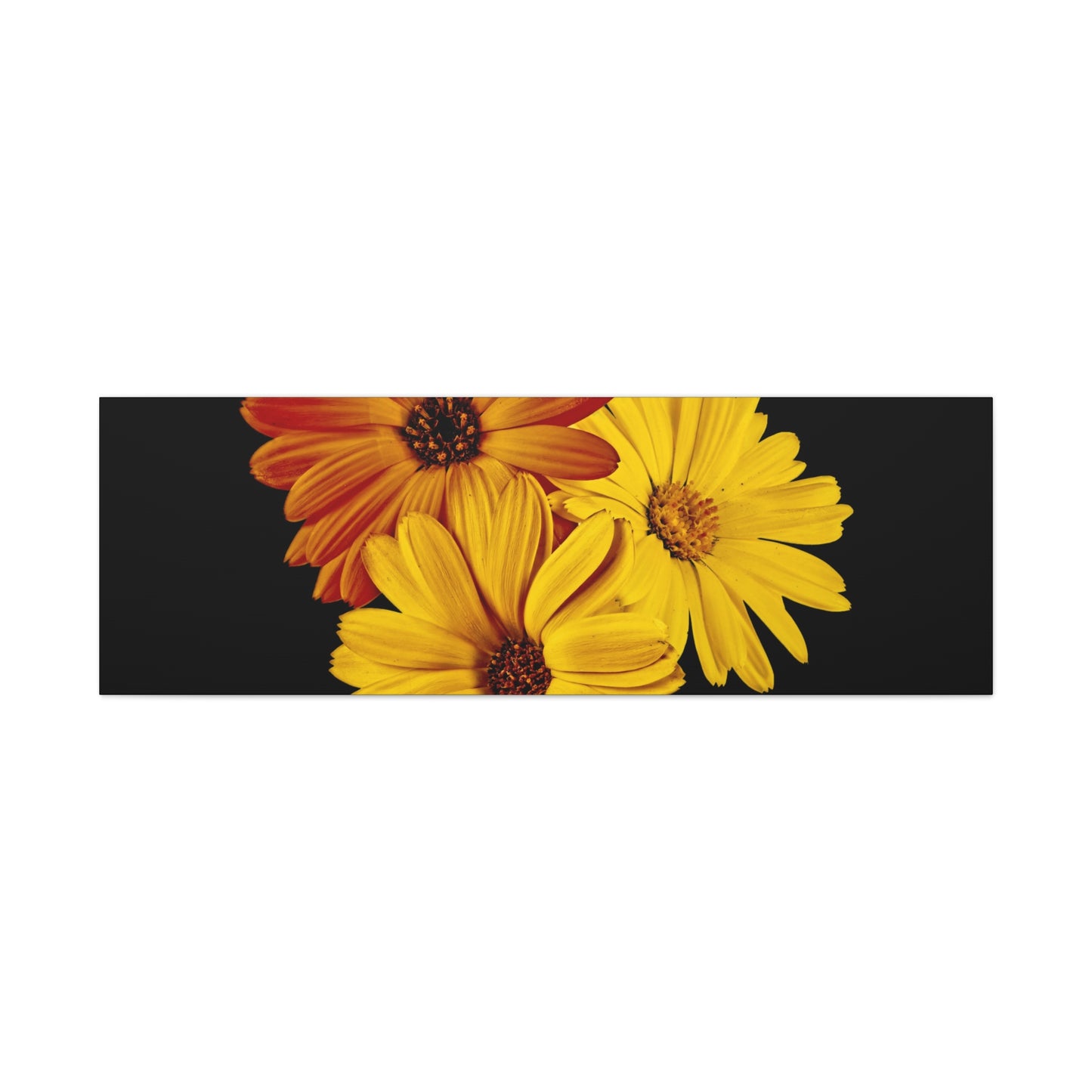Collection Signature "FLORAL Numéro 4" sur Toile Fine Art sur Toile / Epaisseur 3,2cm - 1'25 po
