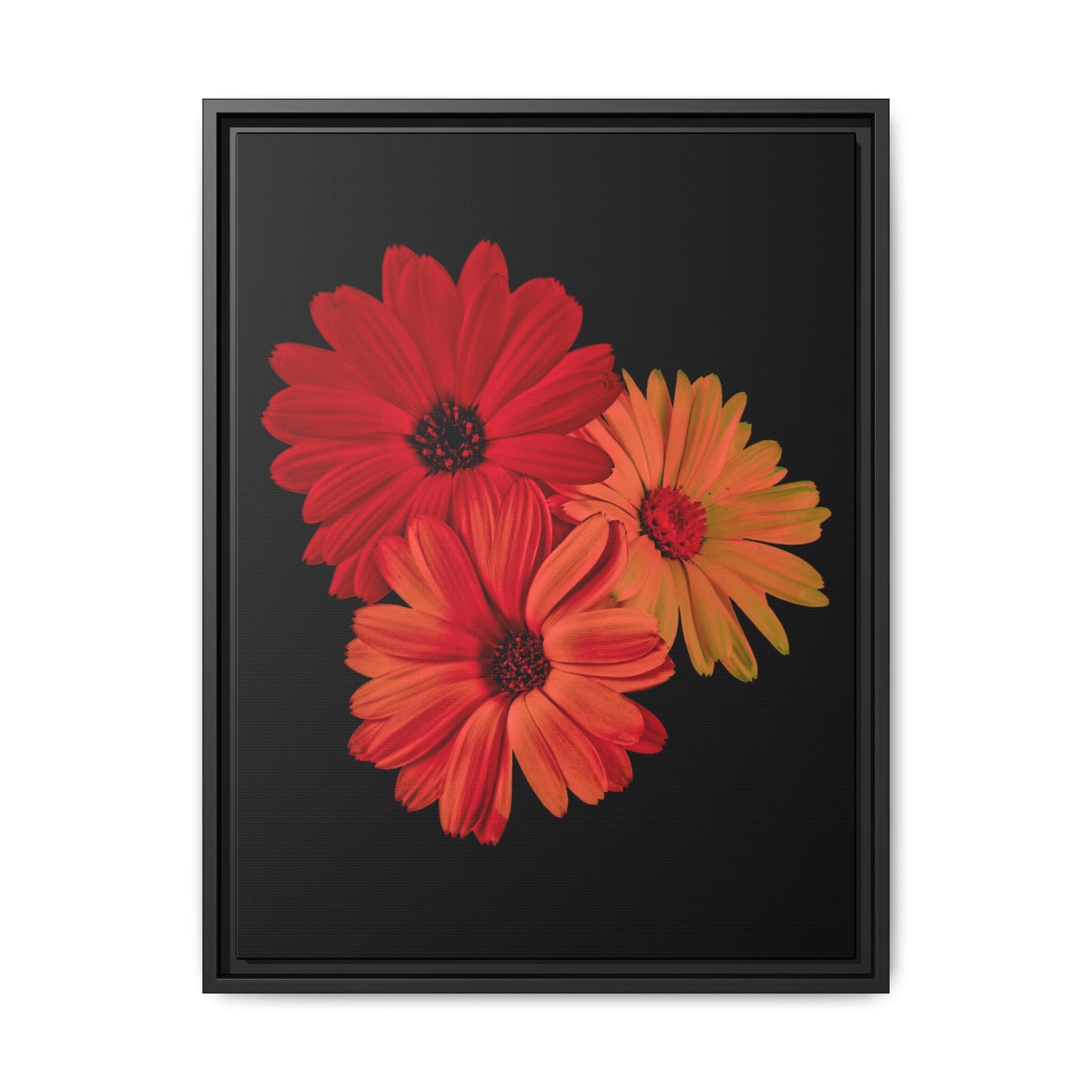 Collection Signature "FLORAL Numéro 1" sur Toile encadrée avec caisse américaine
