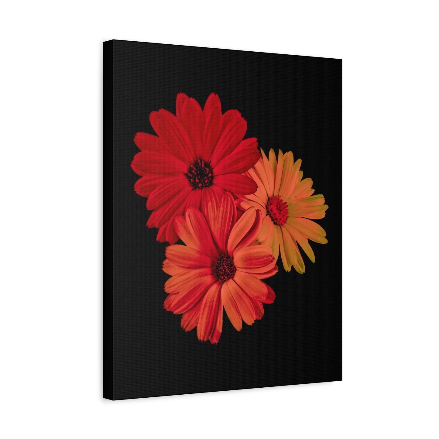 Collection Signature "FLORAL Numéro 1" sur Toile Fine Art sur Toile / Epaisseur 3,2cm - 1'25 po