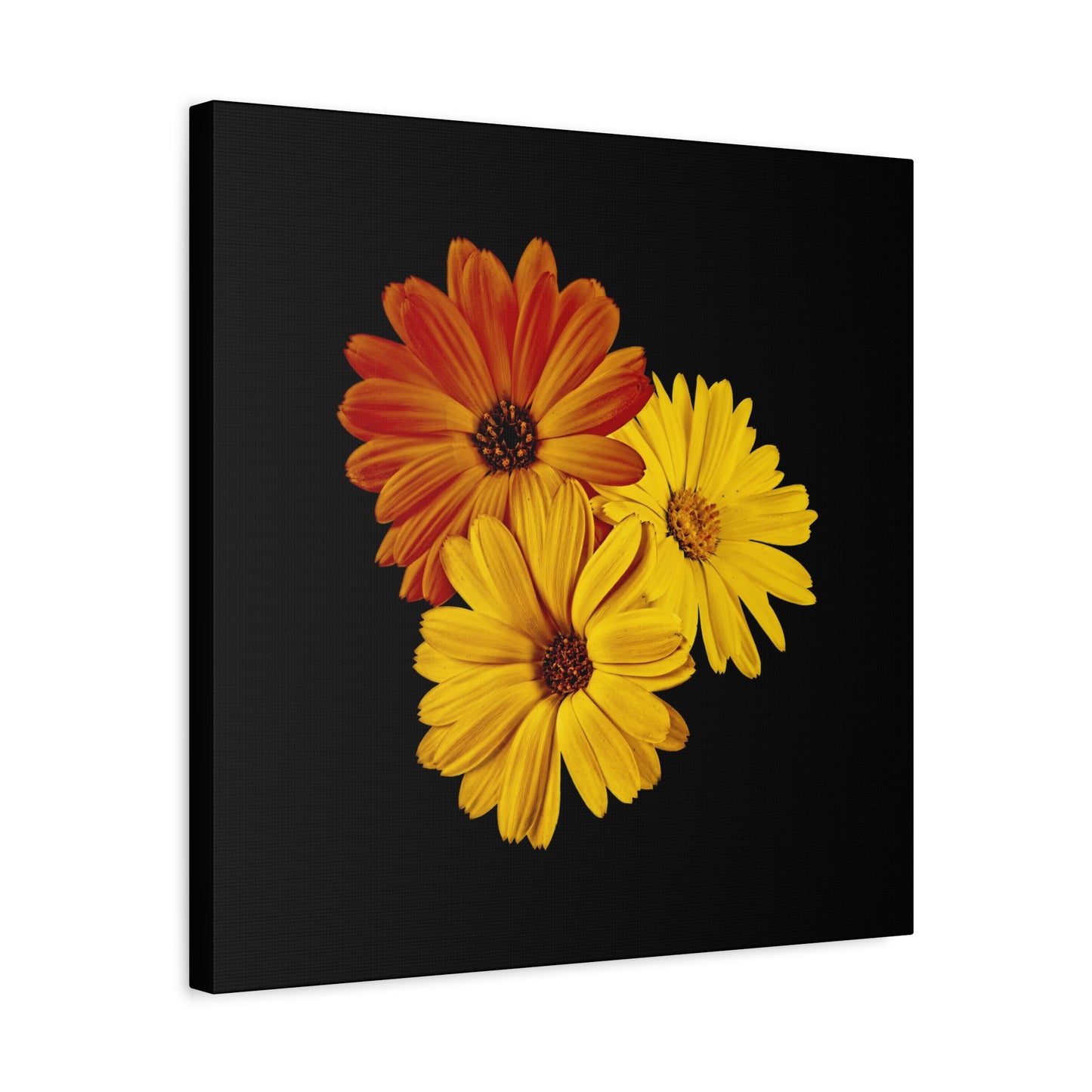 Collection Signature "FLORAL Numéro 4" sur Toile Fine Art sur Toile / Epaisseur 3,2cm - 1'25 po