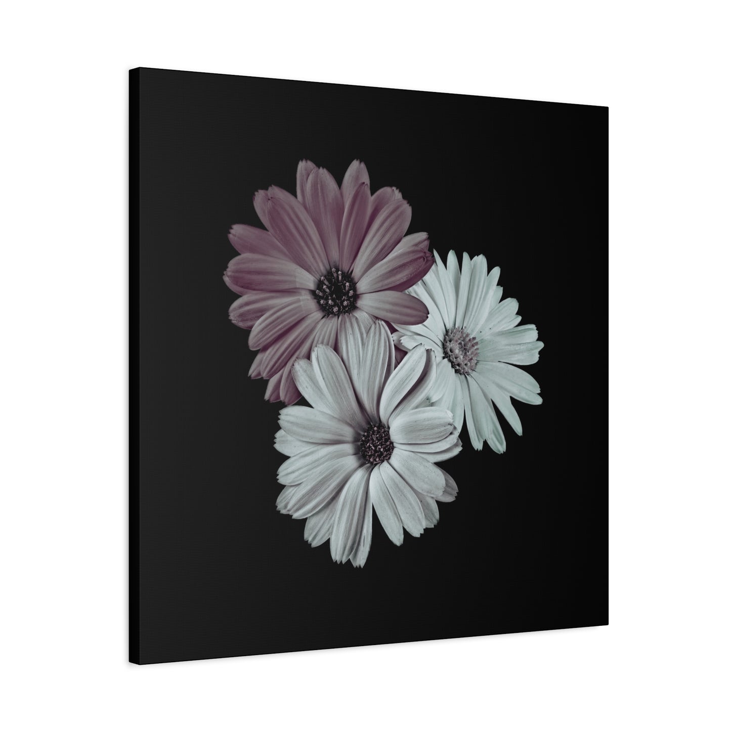 Collection Signature "FLORAL Numéro 5" sur Toile Fine Art sur Toile / Epaisseur 3,2cm - 1'25 po