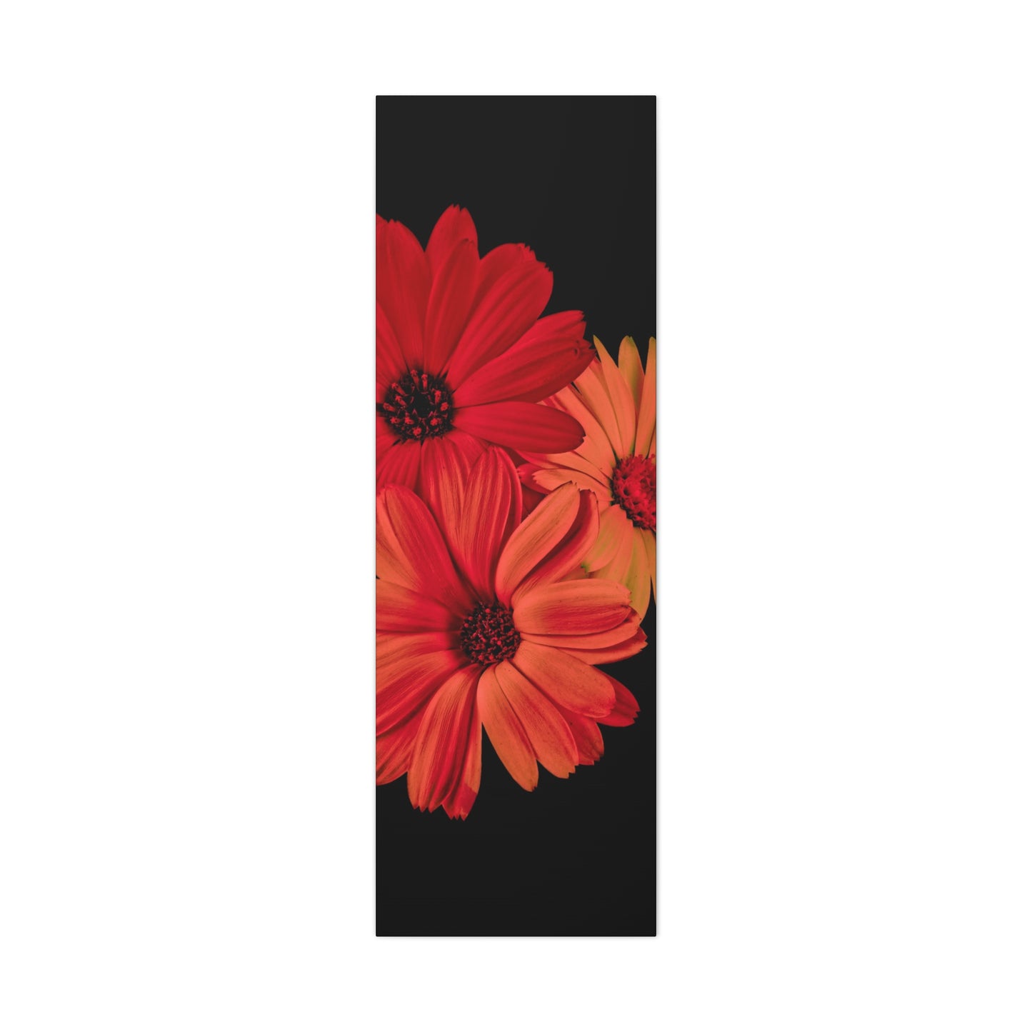Collection Signature "FLORAL Numéro 1" sur Toile Fine Art sur Toile / Epaisseur 3,2cm - 1'25 po
