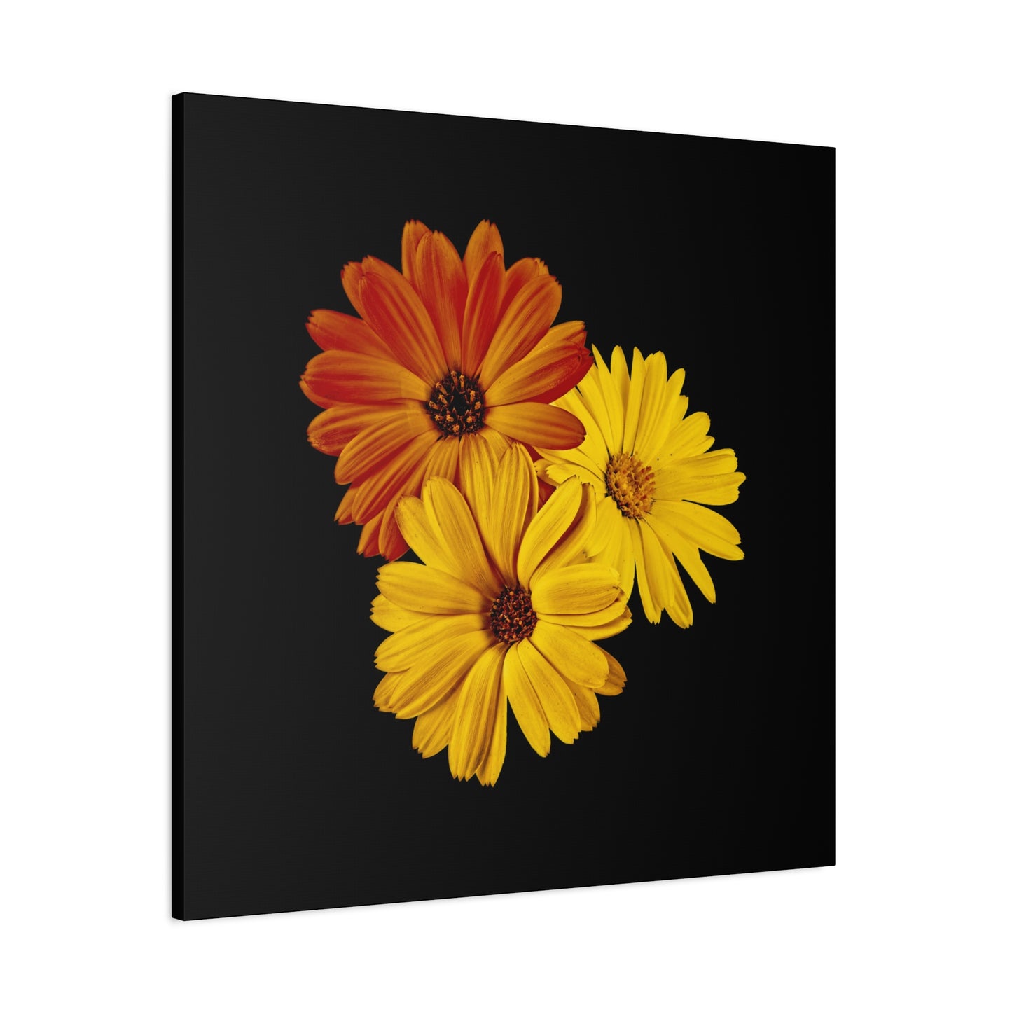Collection Signature "FLORAL Numéro 4" sur Toile Fine Art sur Toile / Epaisseur 3,2cm - 1'25 po