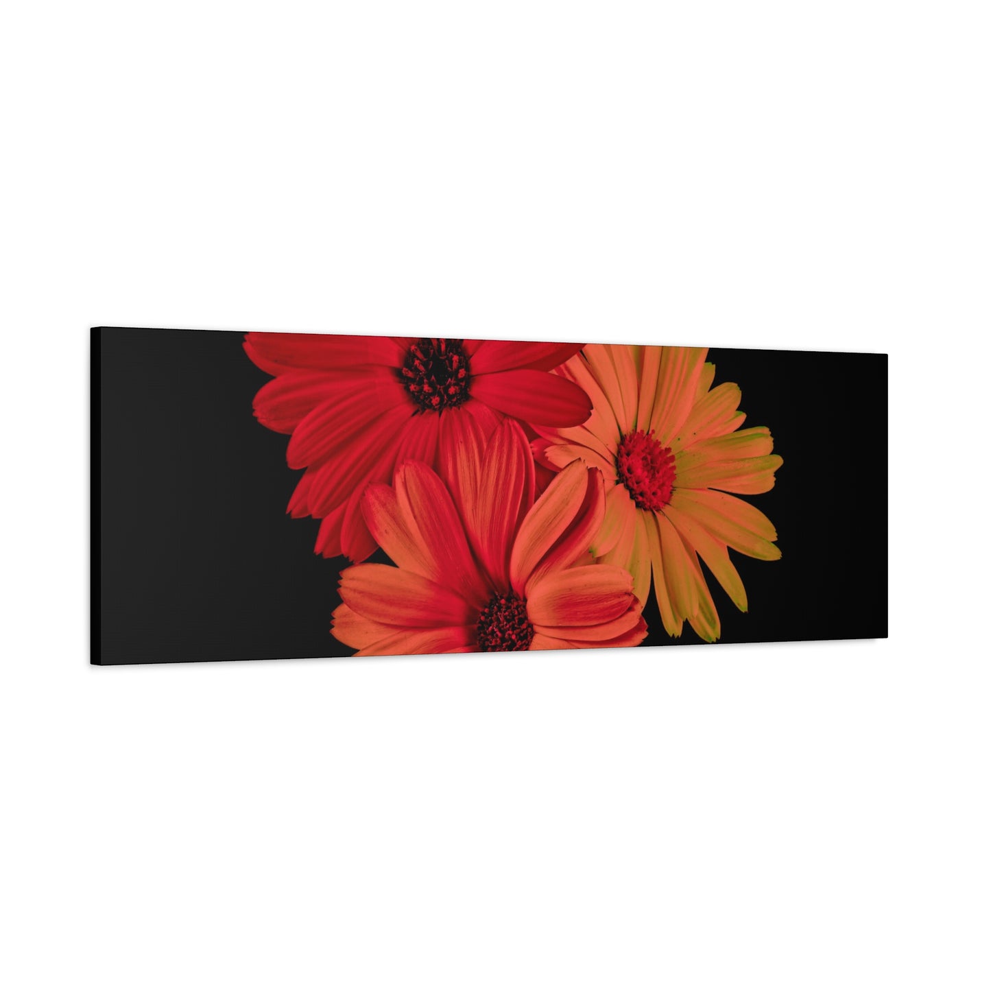 Collection Signature "FLORAL Numéro 1" sur Toile Fine Art sur Toile / Epaisseur 3,2cm - 1'25 po