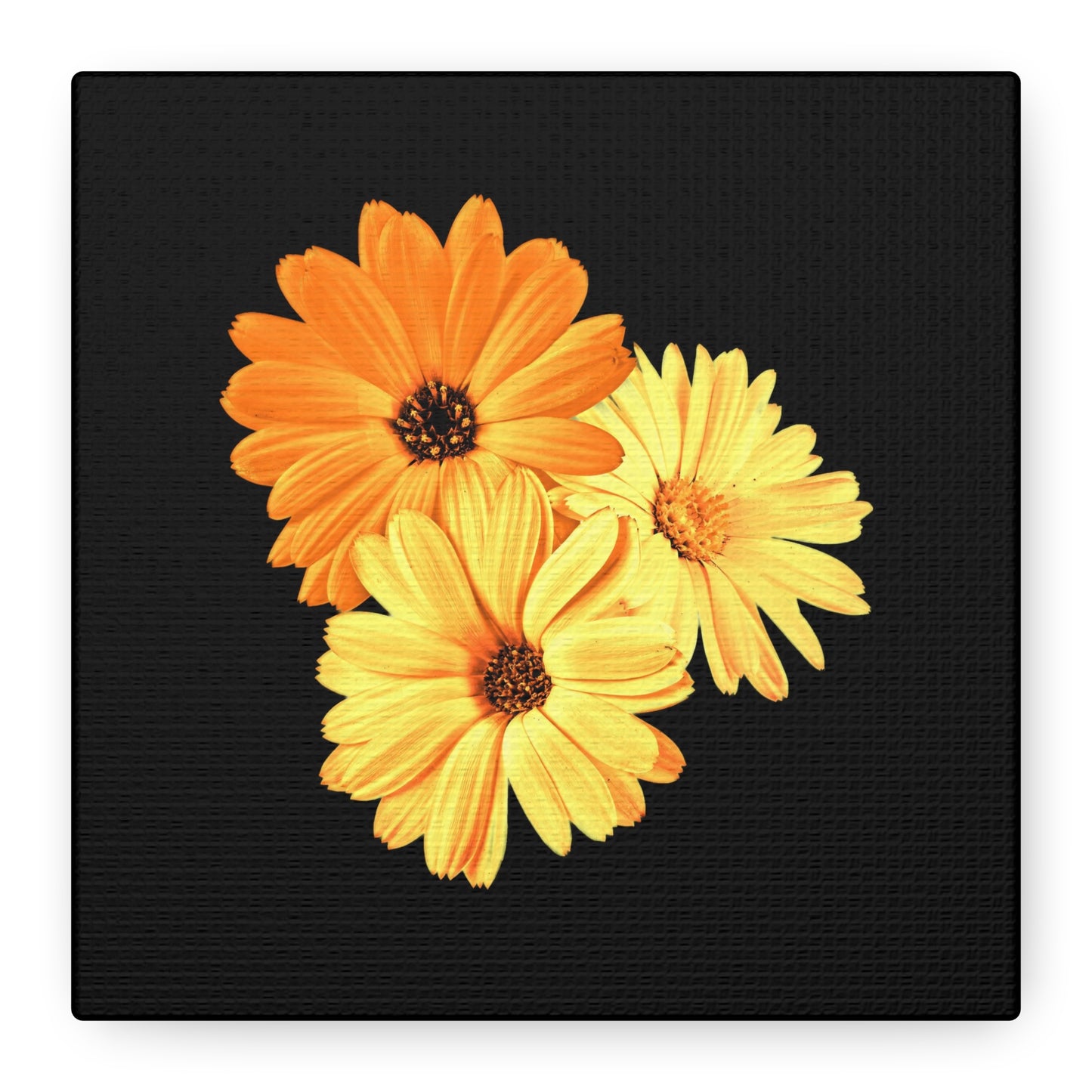 Collection Signature "FLORAL Numéro 8" sur Toile Fine Art sur Toile / Epaisseur 3,2cm - 1'25 po