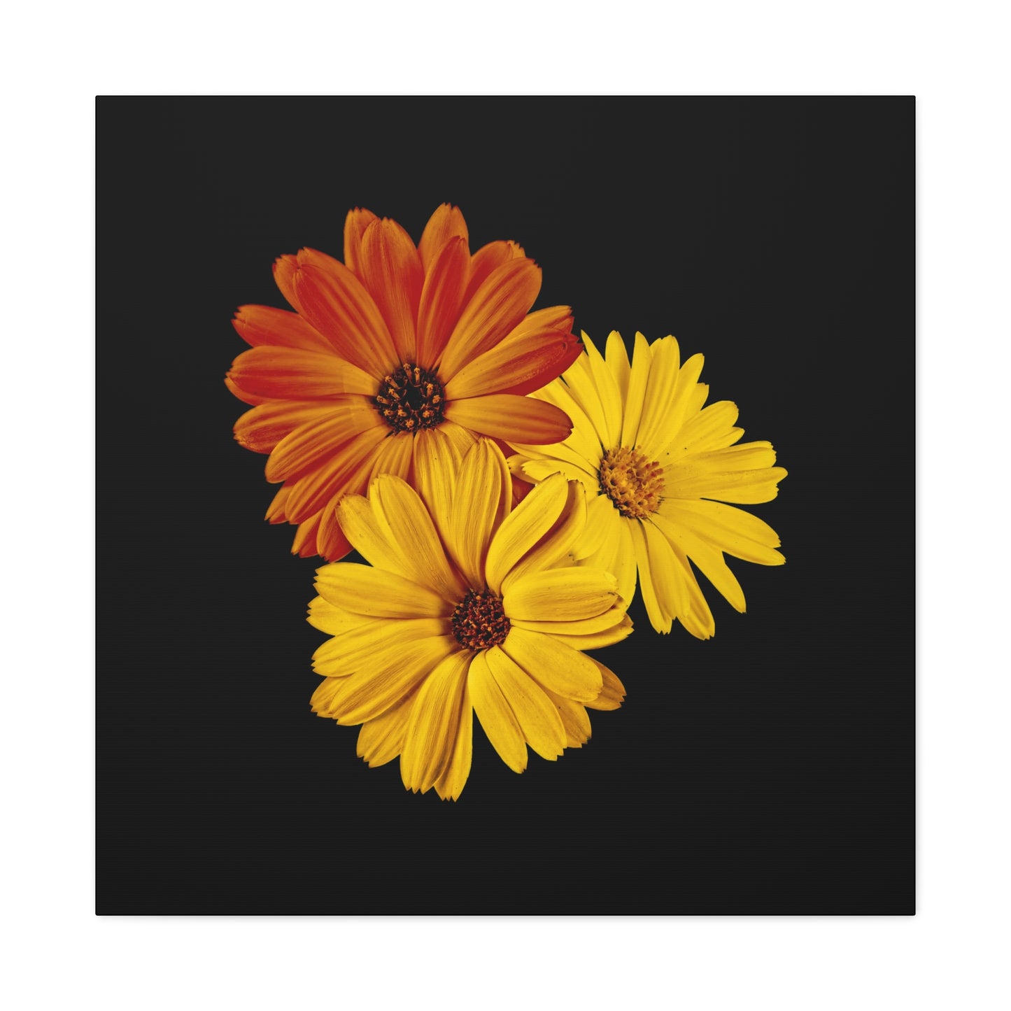 Collection Signature "FLORAL Numéro 4" sur Toile Fine Art sur Toile / Epaisseur 3,2cm - 1'25 po