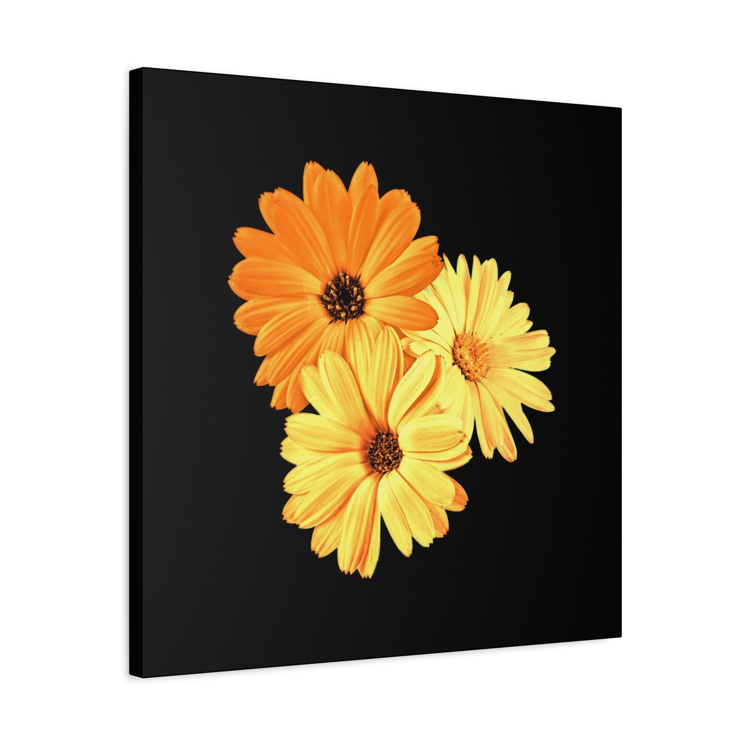 Collection Signature "FLORAL Numéro 8" sur Toile Fine Art sur Toile / Epaisseur 3,2cm - 1'25 po