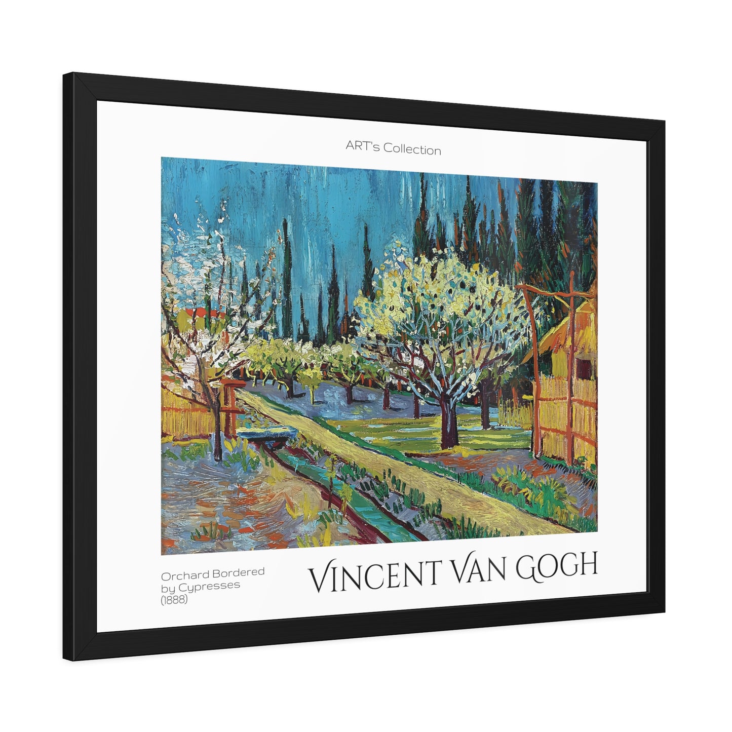 Orchard Bordered by Cypresses (1888) by Vincent Van Gogh / Affiche Encadrée série ART's Collection