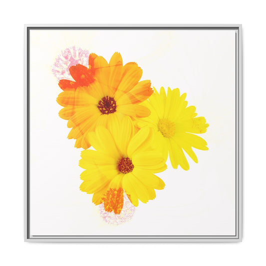 Collection Signature "FLORAL Numéro 16" sur Toile encadrée avec caisse américaine