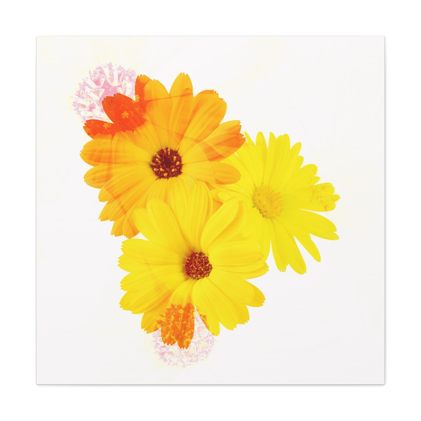 Collection Signature "FLORAL Numéro 16" sur Toile Fine Art sur Toile / Epaisseur 3,2cm - 1'25 po