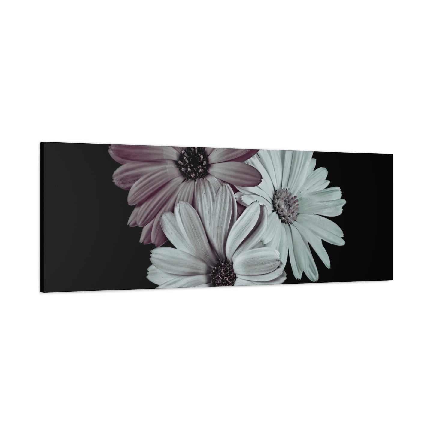 Collection Signature "FLORAL Numéro 5" sur Toile Fine Art sur Toile / Epaisseur 3,2cm - 1'25 po