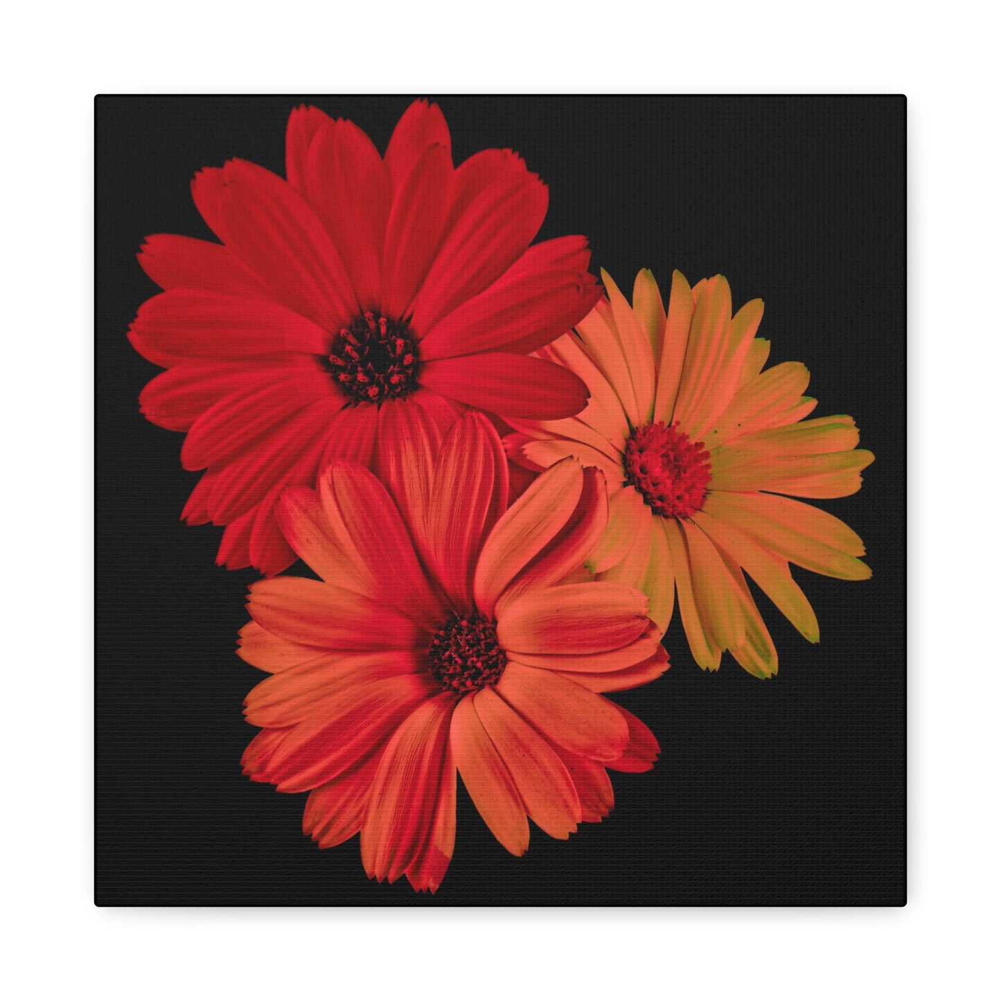 Collection Signature "FLORAL Numéro 1" sur Toile Fine Art sur Toile / Epaisseur 3,2cm - 1'25 po
