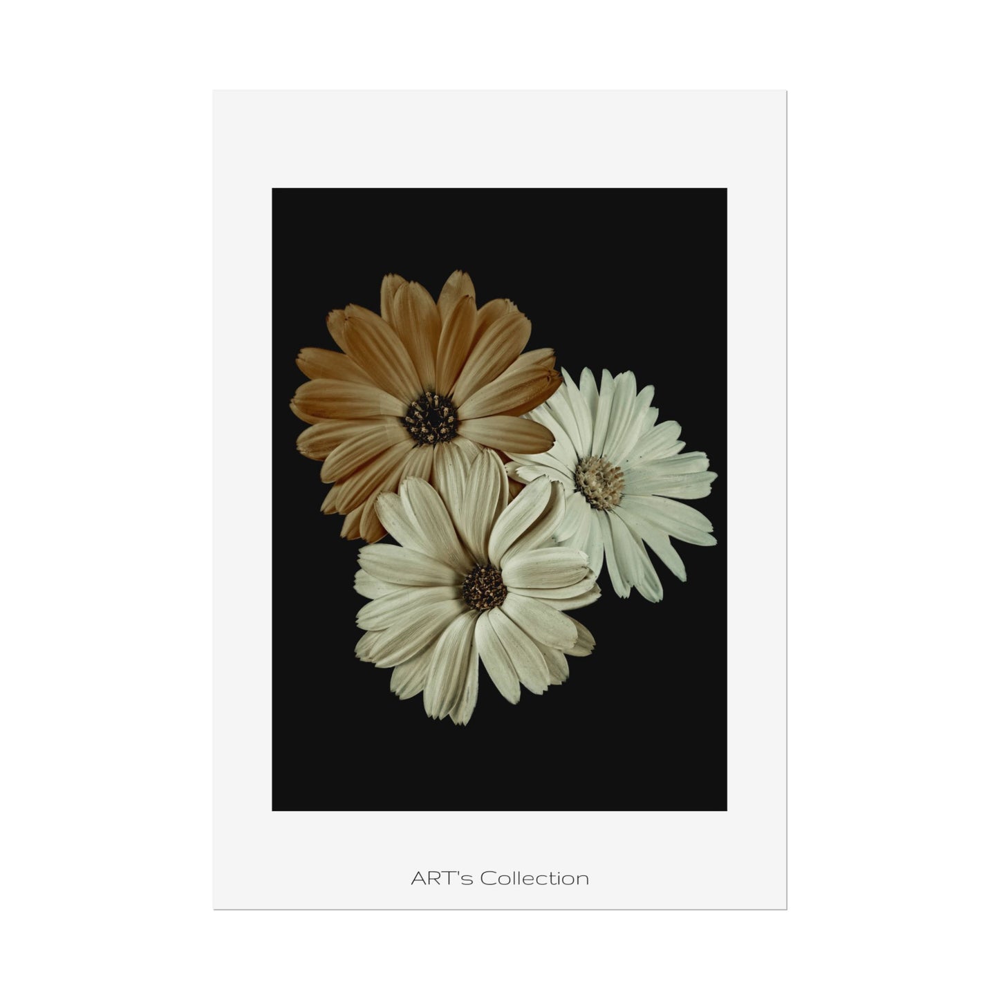 Collection Signature "FLORAL Numéro 3" sur Affiche imprimée - Série ART's Collection