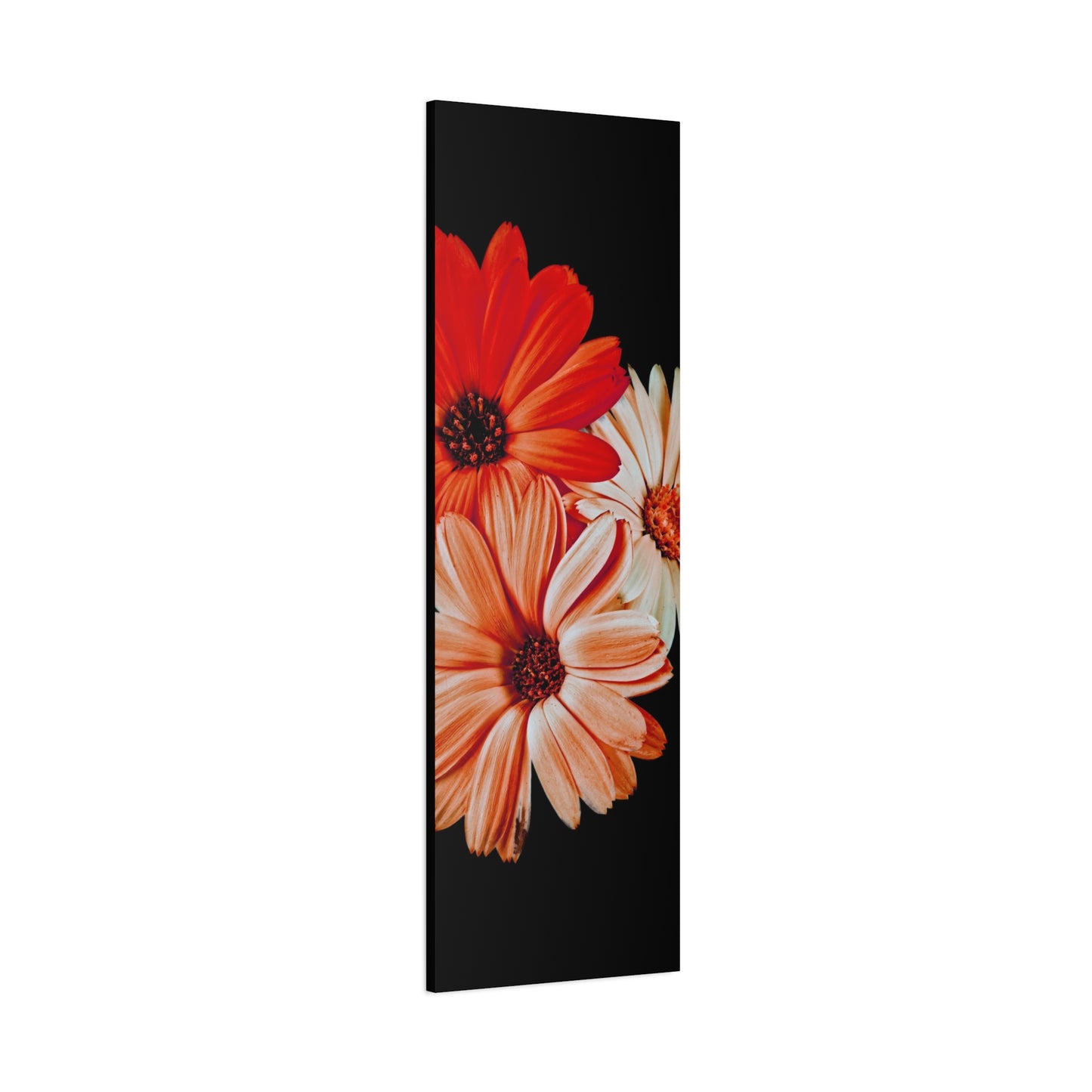 Collection Signature "FLORAL Numéro 7" sur Toile Fine Art sur Toile / Epaisseur 3,2cm - 1'25 po