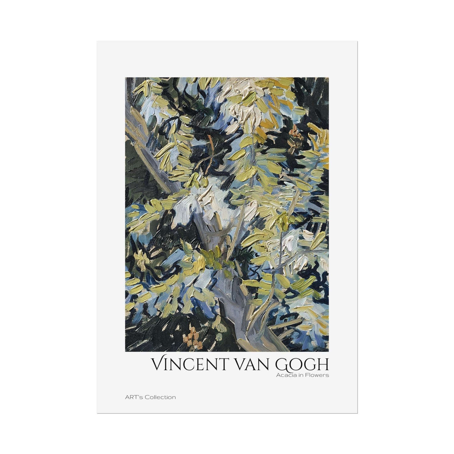 Acacia in Flowers by Vincent van Gogh / Affiche imprimée - Série ART's Collection