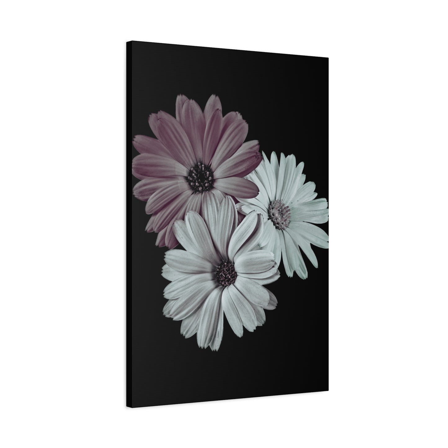 Collection Signature "FLORAL Numéro 5" sur Toile Fine Art sur Toile / Epaisseur 3,2cm - 1'25 po