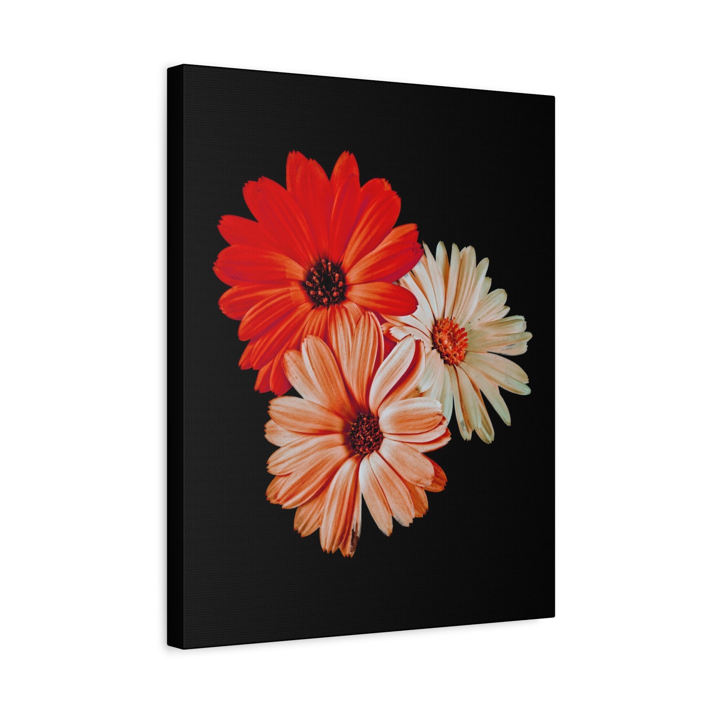 Collection Signature "FLORAL Numéro 7" sur Toile Fine Art sur Toile / Epaisseur 3,2cm - 1'25 po