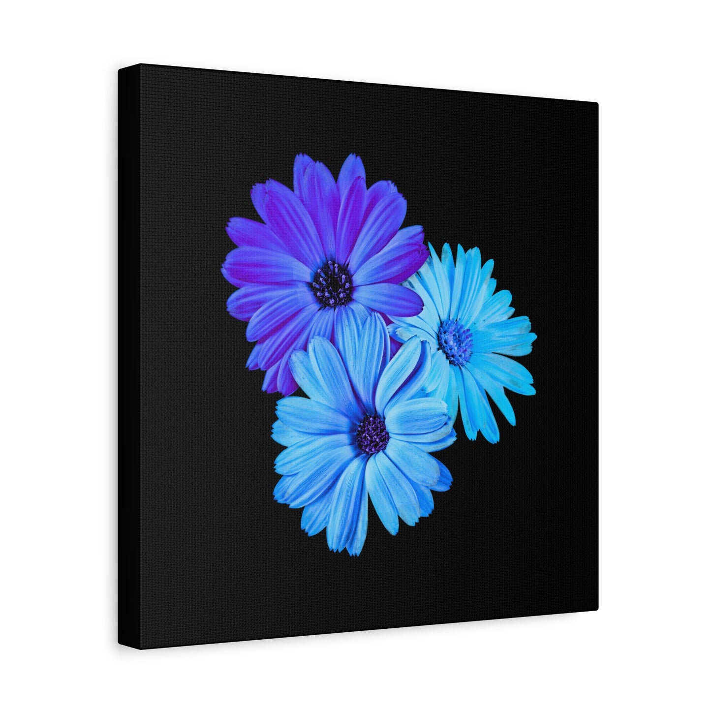 Collection Signature "FLORAL Numéro 2" sur Toile Fine Art sur Toile / Epaisseur 3,2cm - 1'25 po
