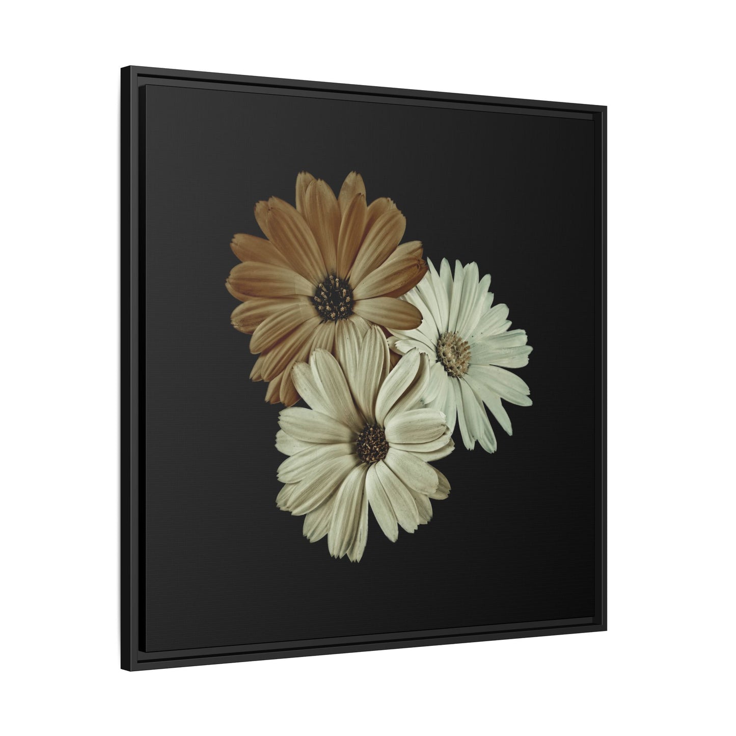 Collection Signature "FLORAL Numéro 3" sur Toile encadrée avec caisse américaine