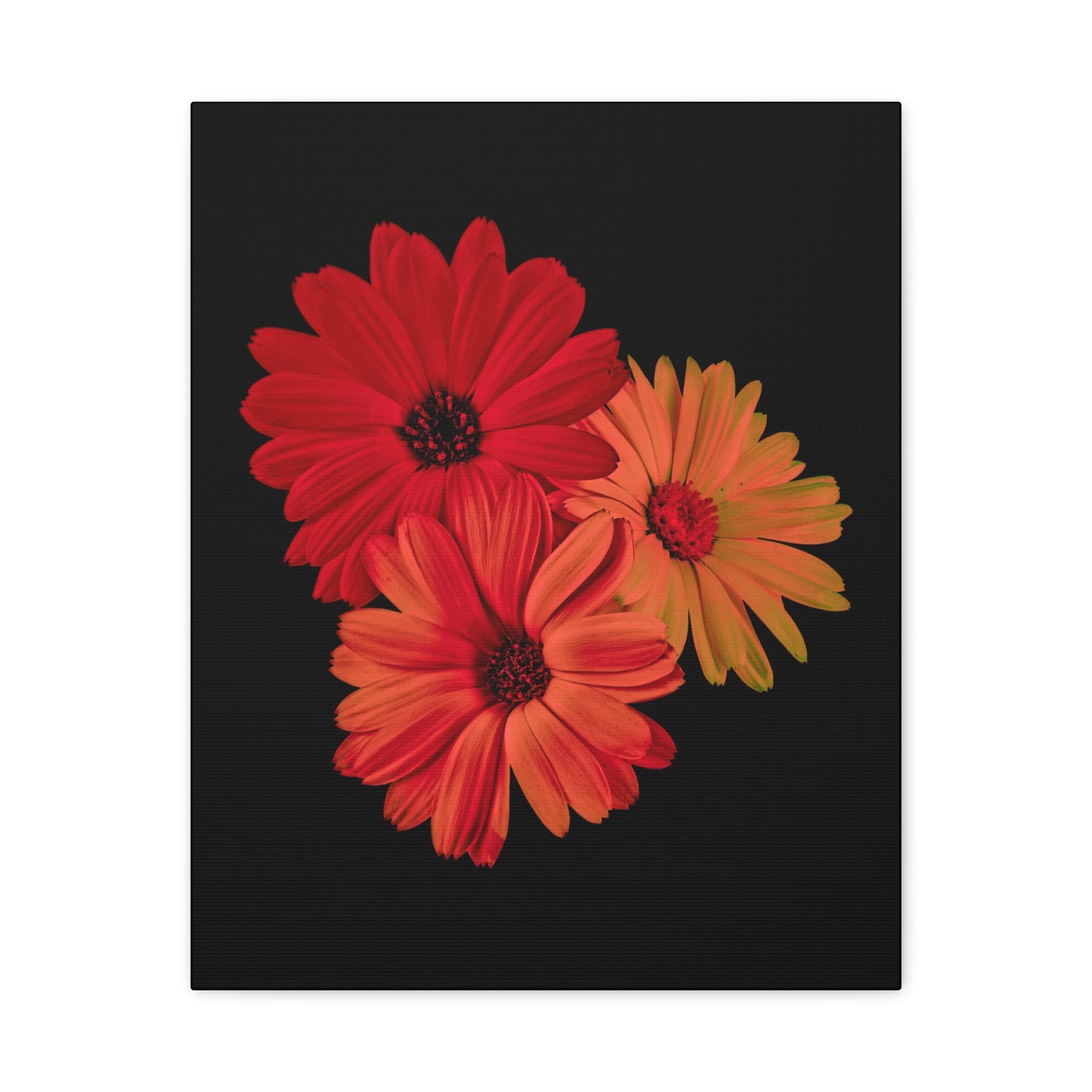 Collection Signature "FLORAL Numéro 1" sur Toile Fine Art sur Toile / Epaisseur 3,2cm - 1'25 po