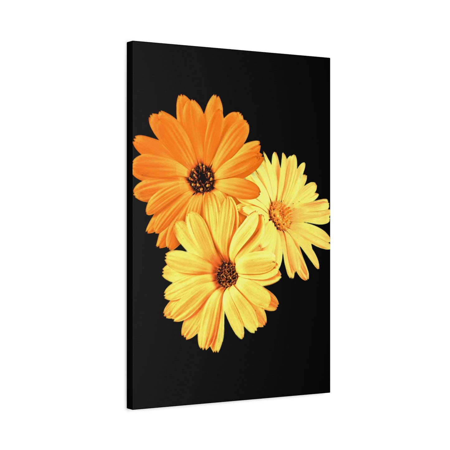 Collection Signature "FLORAL Numéro 8" sur Toile Fine Art sur Toile / Epaisseur 3,2cm - 1'25 po
