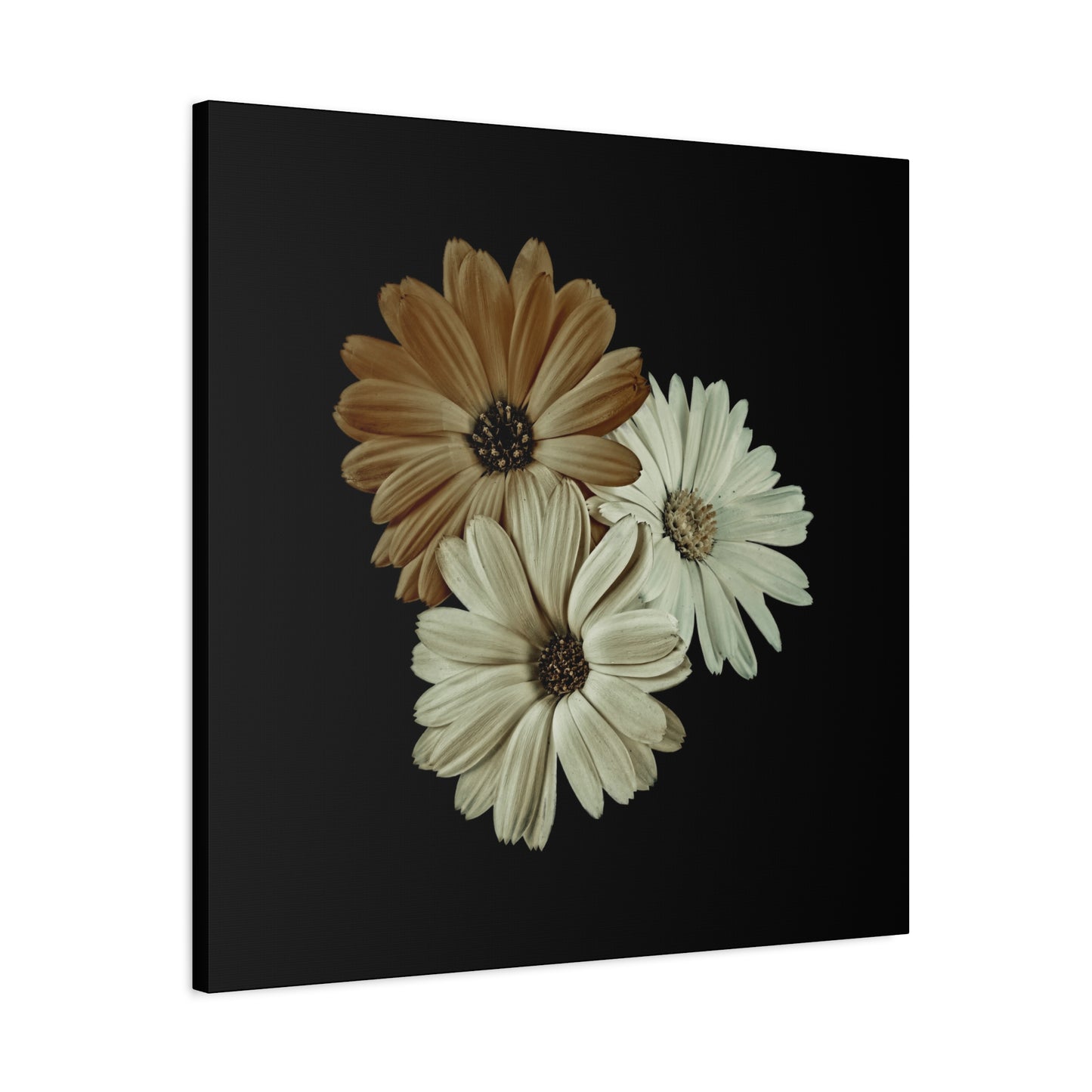 Collection Signature "FLORAL Numéro 3" sur Toile Fine Art sur Toile / Epaisseur 3,2cm - 1'25 po