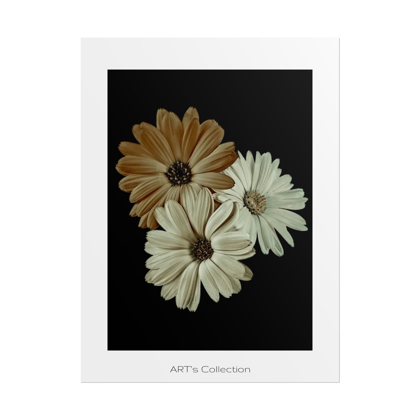 Collection Signature "FLORAL Numéro 3" sur Affiche imprimée - Série ART's Collection