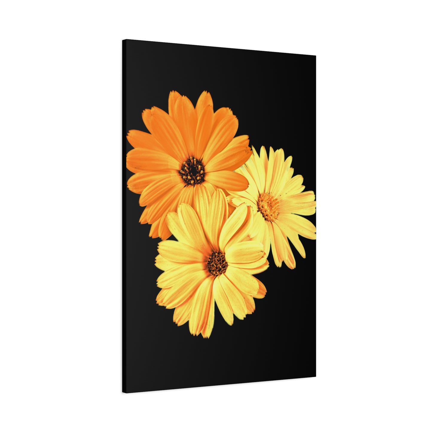 Collection Signature "FLORAL Numéro 8" sur Toile Fine Art sur Toile / Epaisseur 3,2cm - 1'25 po
