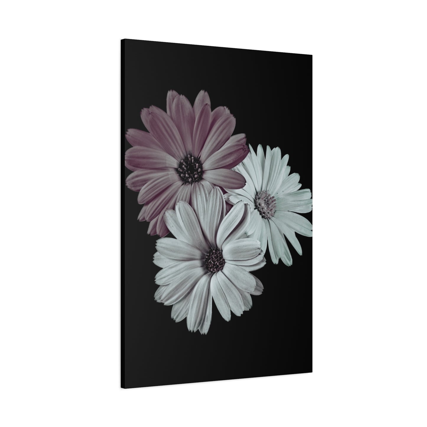 Collection Signature "FLORAL Numéro 5" sur Toile Fine Art sur Toile / Epaisseur 3,2cm - 1'25 po