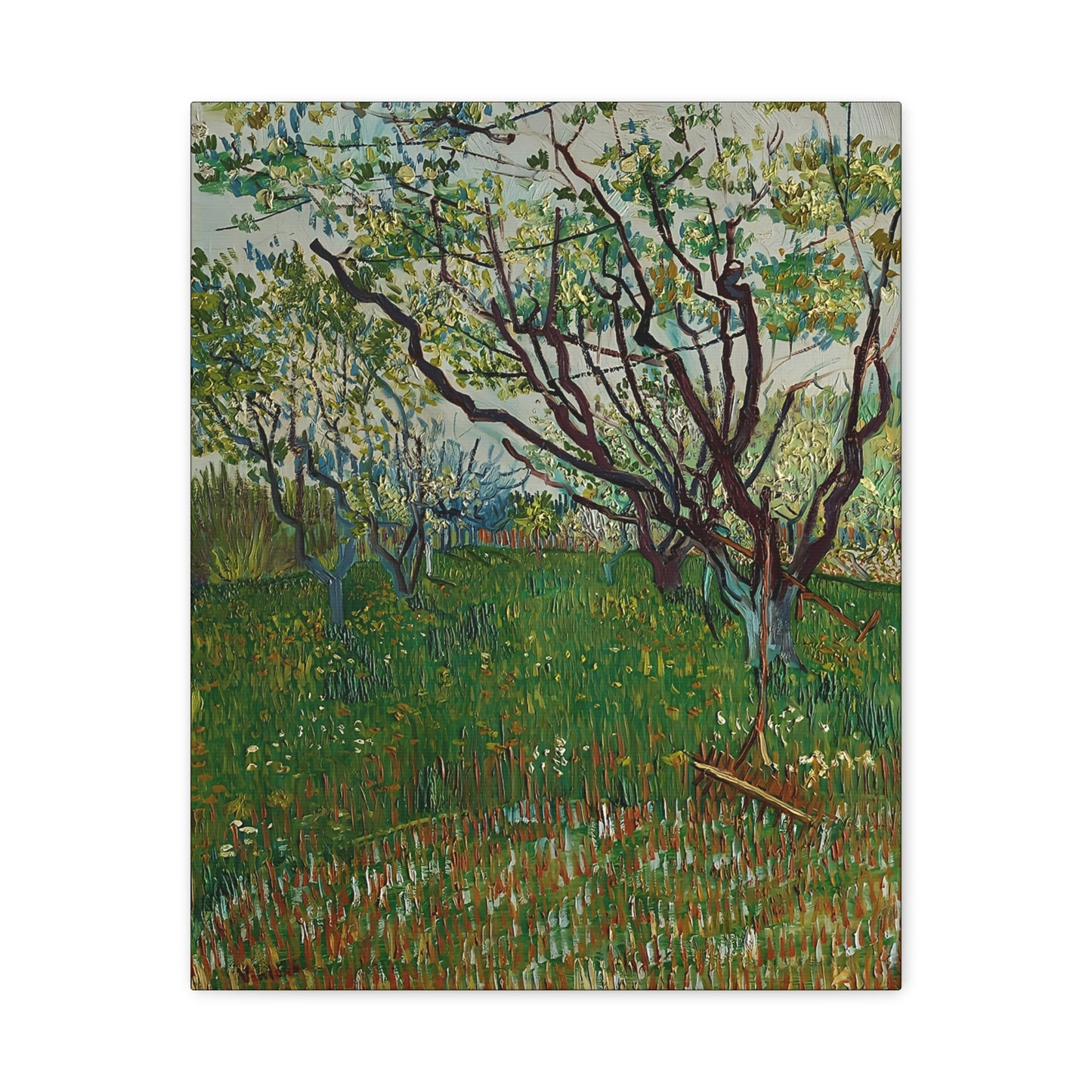 The Flowering Orchard (1888) by Vincent van Gogh / Reproduction Fine Art sur Toile / Epaisseur 3,2cm - 1'25 po