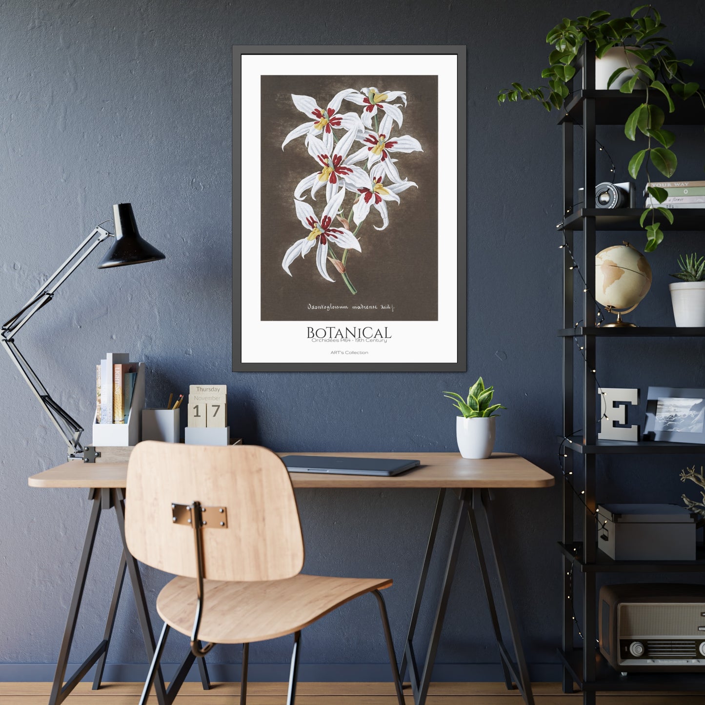 Botanical - Orchidées Pl.64 (19th Century) / Affiche Encadrée série ART's Collection