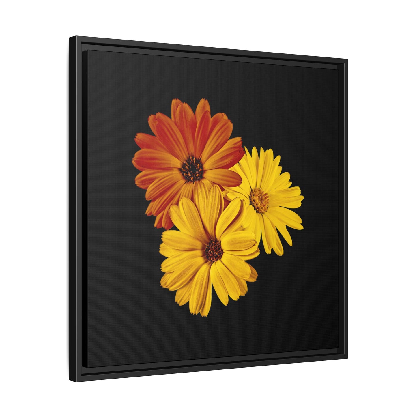 Collection Signature "FLORAL Numéro 4" sur Toile encadrée avec caisse américaine