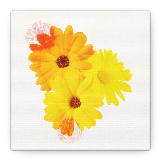 Collection Signature "FLORAL Numéro 16" sur Toile Fine Art sur Toile / Epaisseur 3,2cm - 1'25 po