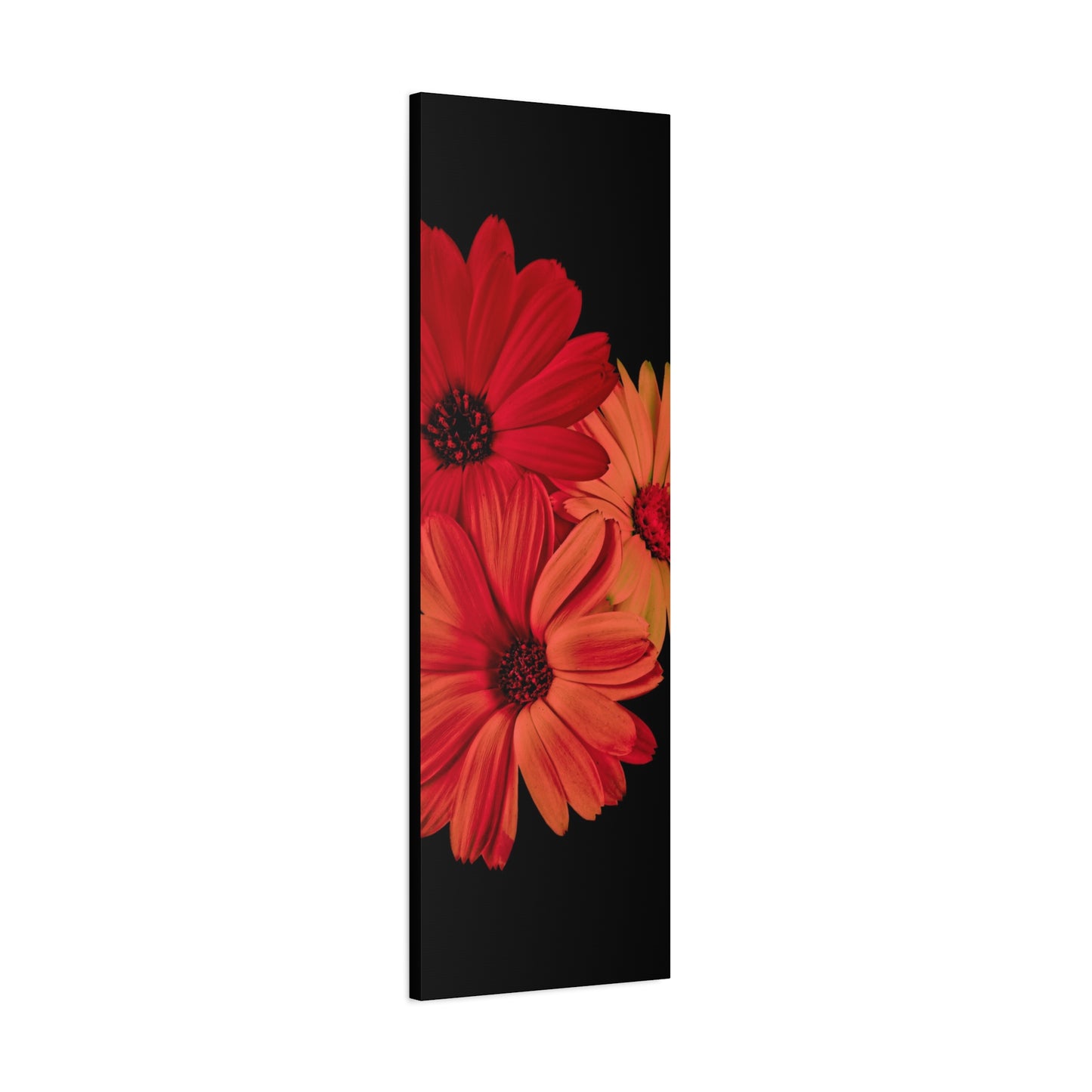 Collection Signature "FLORAL Numéro 1" sur Toile Fine Art sur Toile / Epaisseur 3,2cm - 1'25 po