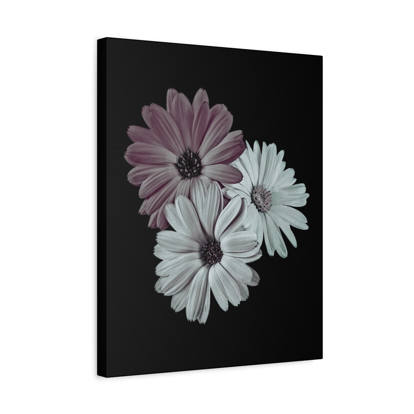 Collection Signature "FLORAL Numéro 5" sur Toile Fine Art sur Toile / Epaisseur 3,2cm - 1'25 po