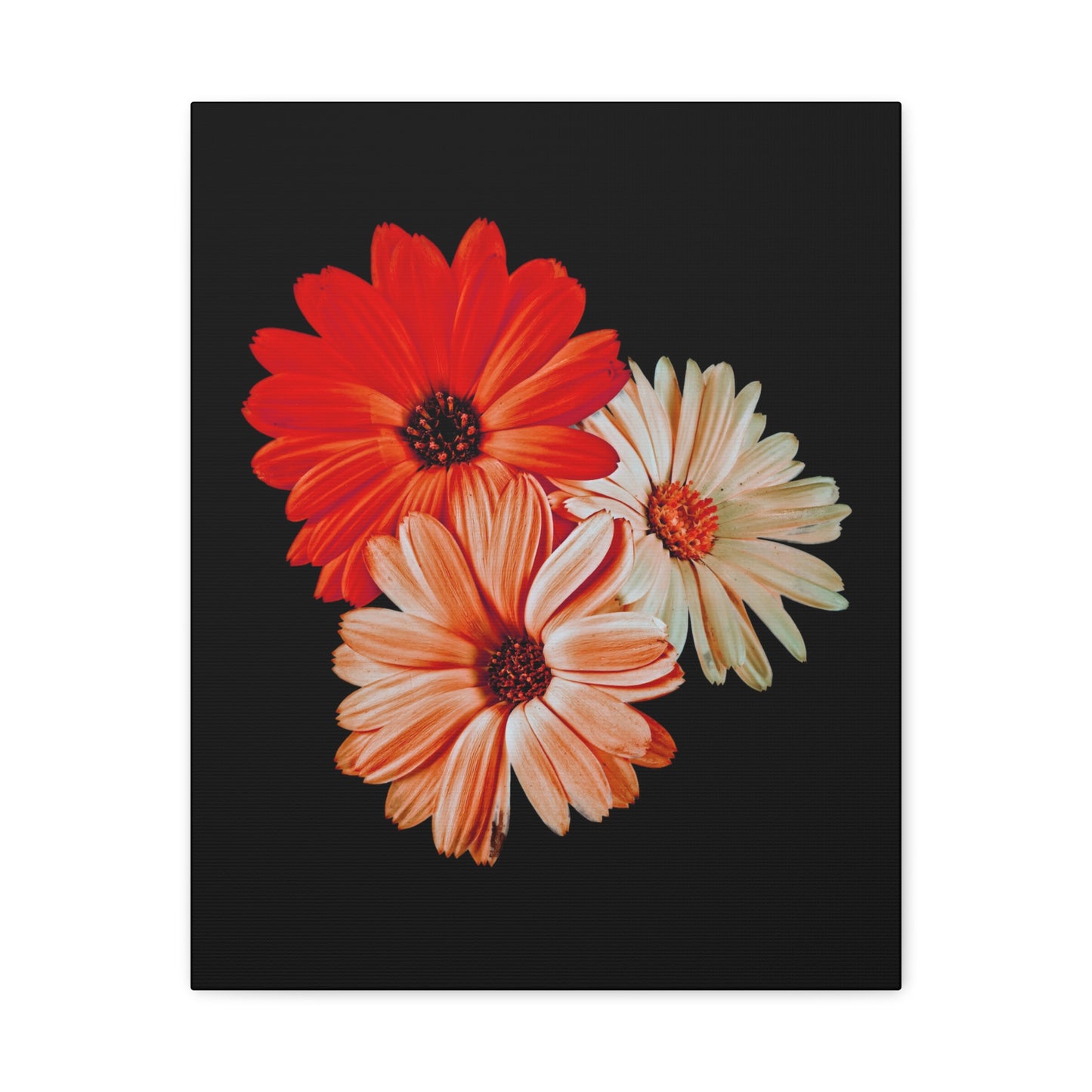 Collection Signature "FLORAL Numéro 7" sur Toile Fine Art sur Toile / Epaisseur 3,2cm - 1'25 po