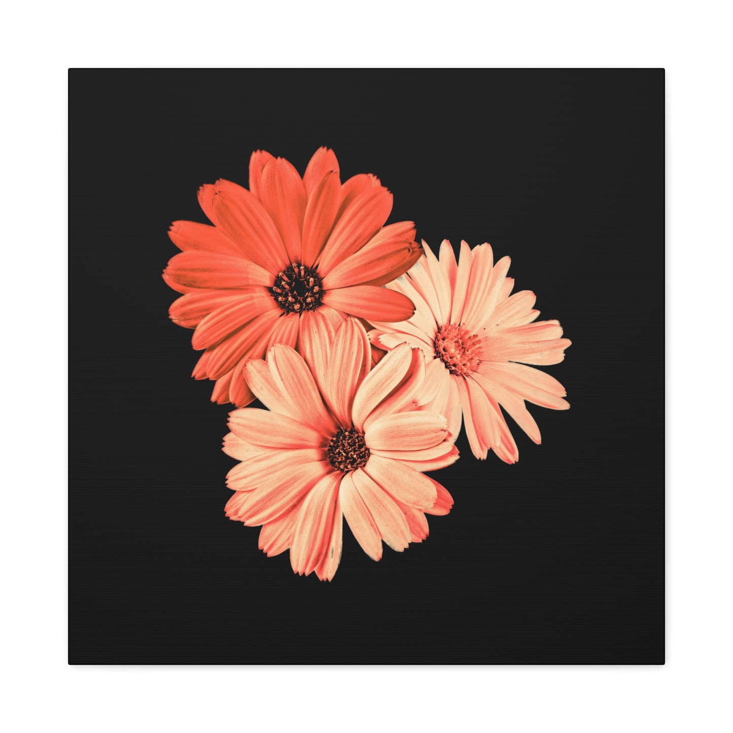 Collection Signature "FLORAL Numéro 6" sur Toile Fine Art sur Toile / Epaisseur 3,2cm - 1'25 po