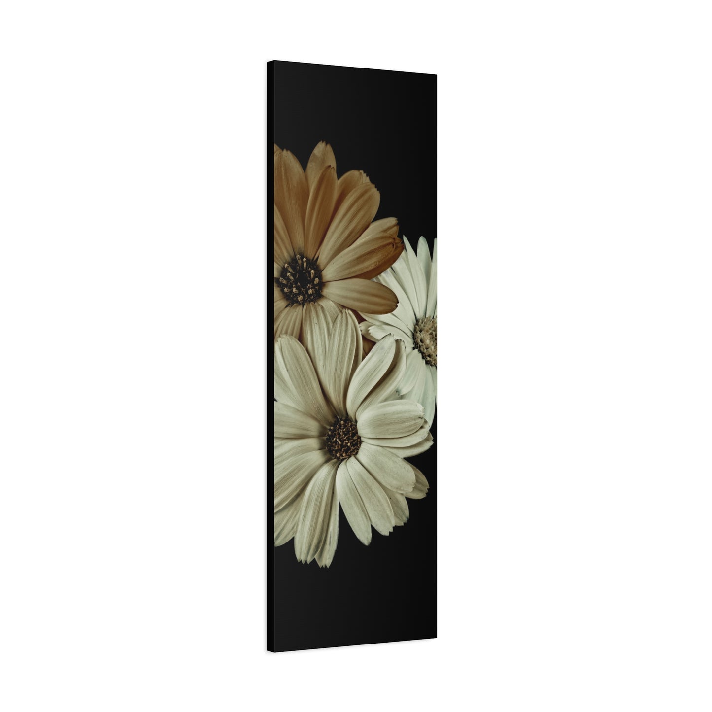 Collection Signature "FLORAL Numéro 3" sur Toile Fine Art sur Toile / Epaisseur 3,2cm - 1'25 po