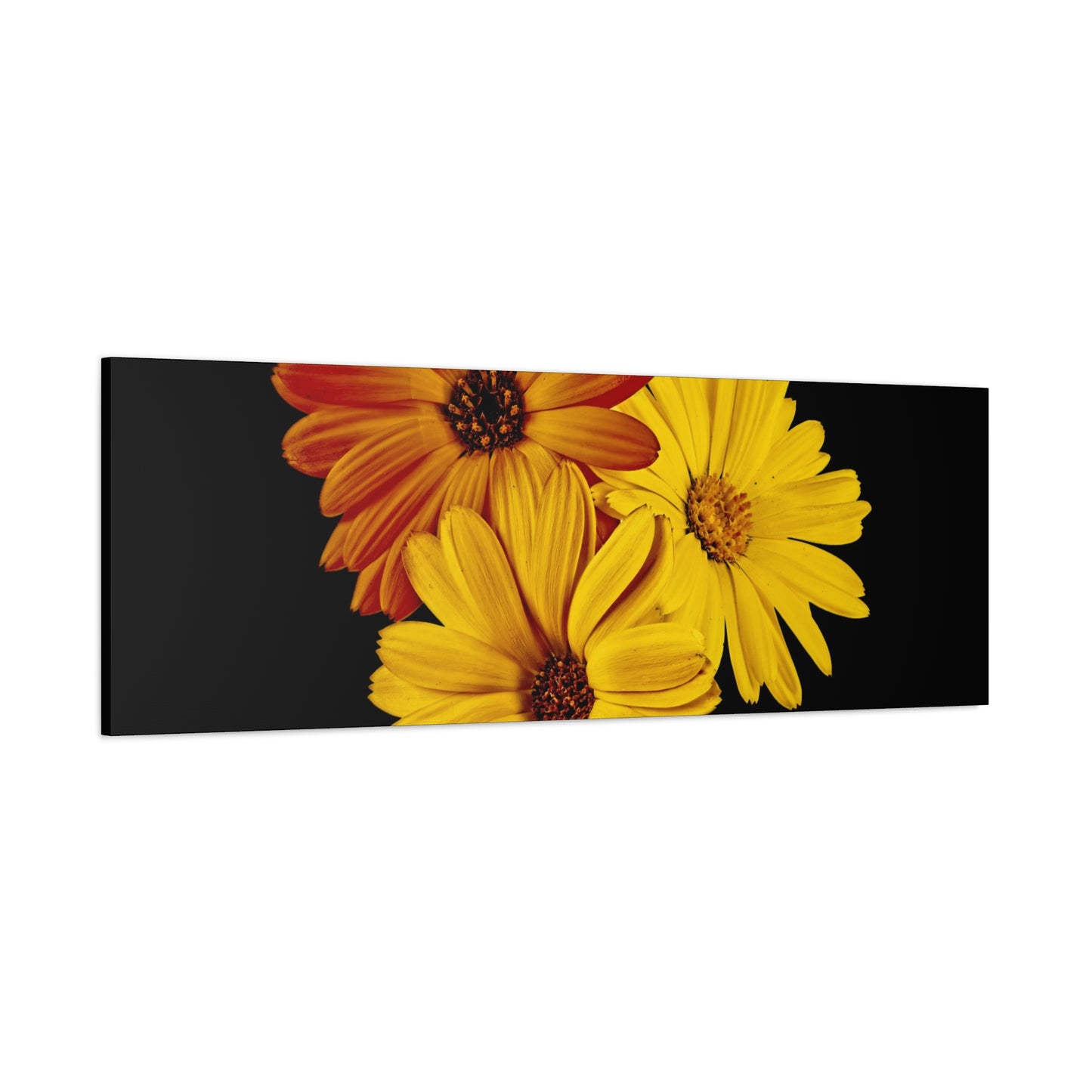Collection Signature "FLORAL Numéro 4" sur Toile Fine Art sur Toile / Epaisseur 3,2cm - 1'25 po