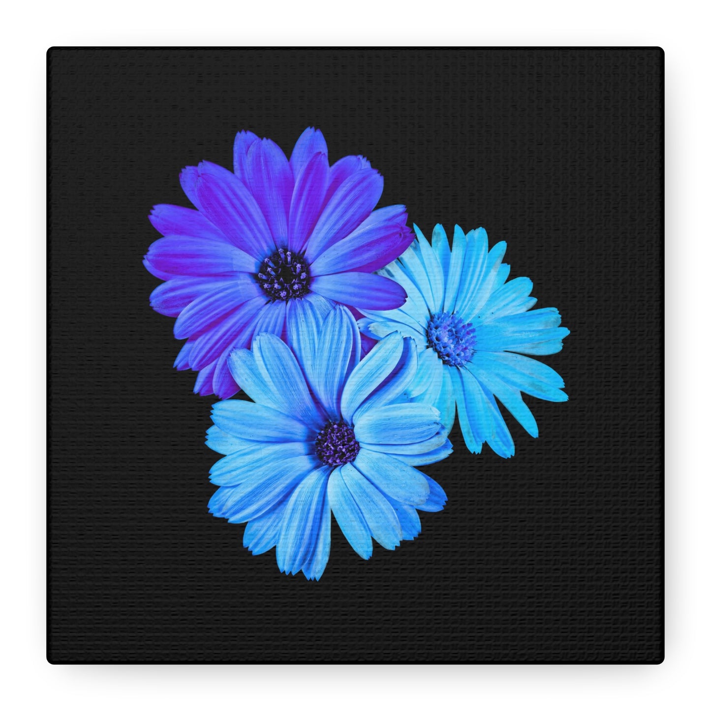 Collection Signature "FLORAL Numéro 2" sur Toile Fine Art sur Toile / Epaisseur 3,2cm - 1'25 po