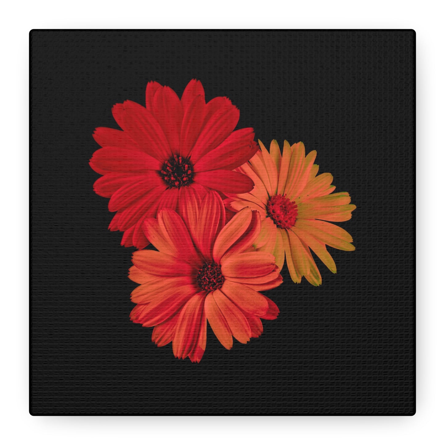 Collection Signature "FLORAL Numéro 1" sur Toile Fine Art sur Toile / Epaisseur 3,2cm - 1'25 po