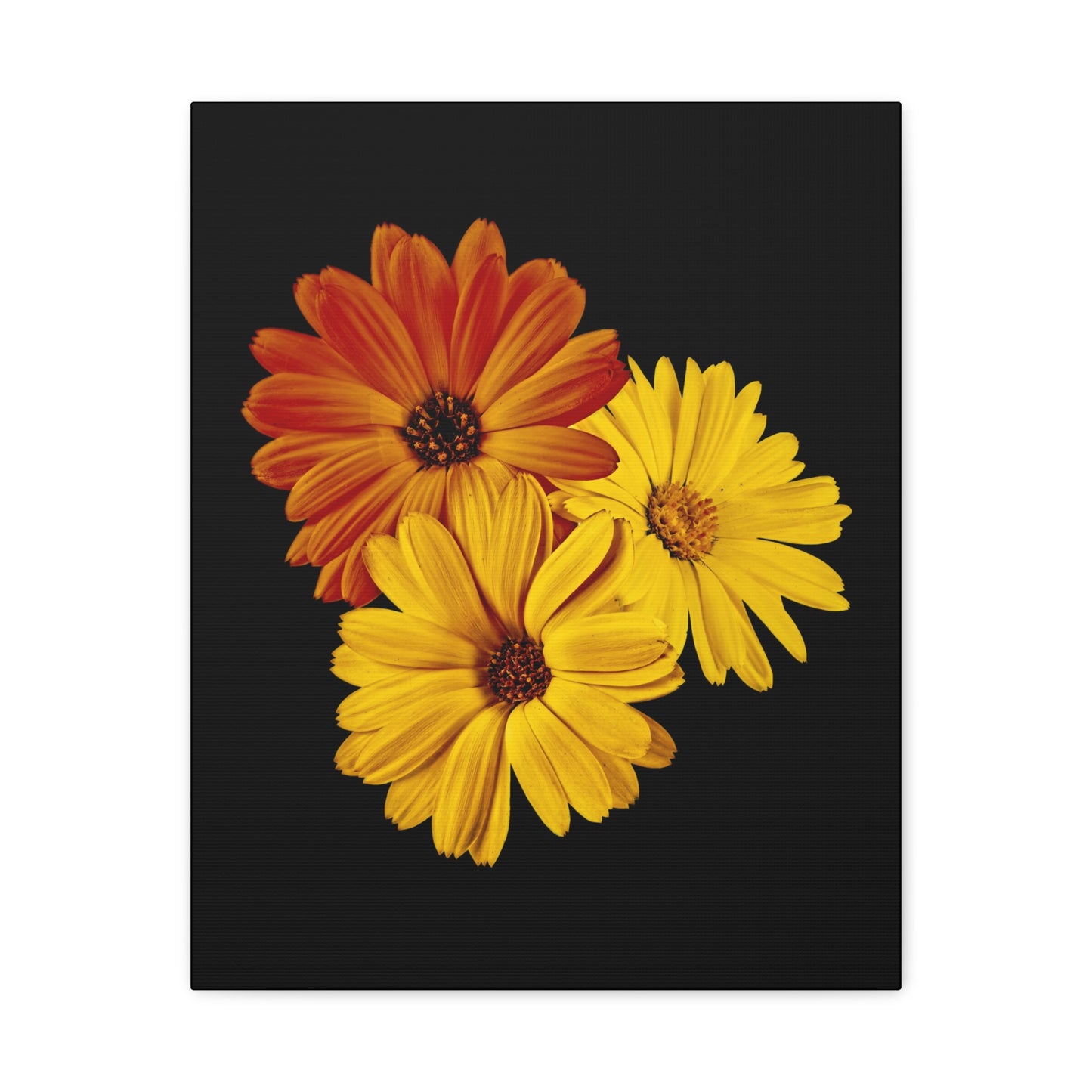 Collection Signature "FLORAL Numéro 4" sur Toile Fine Art sur Toile / Epaisseur 3,2cm - 1'25 po