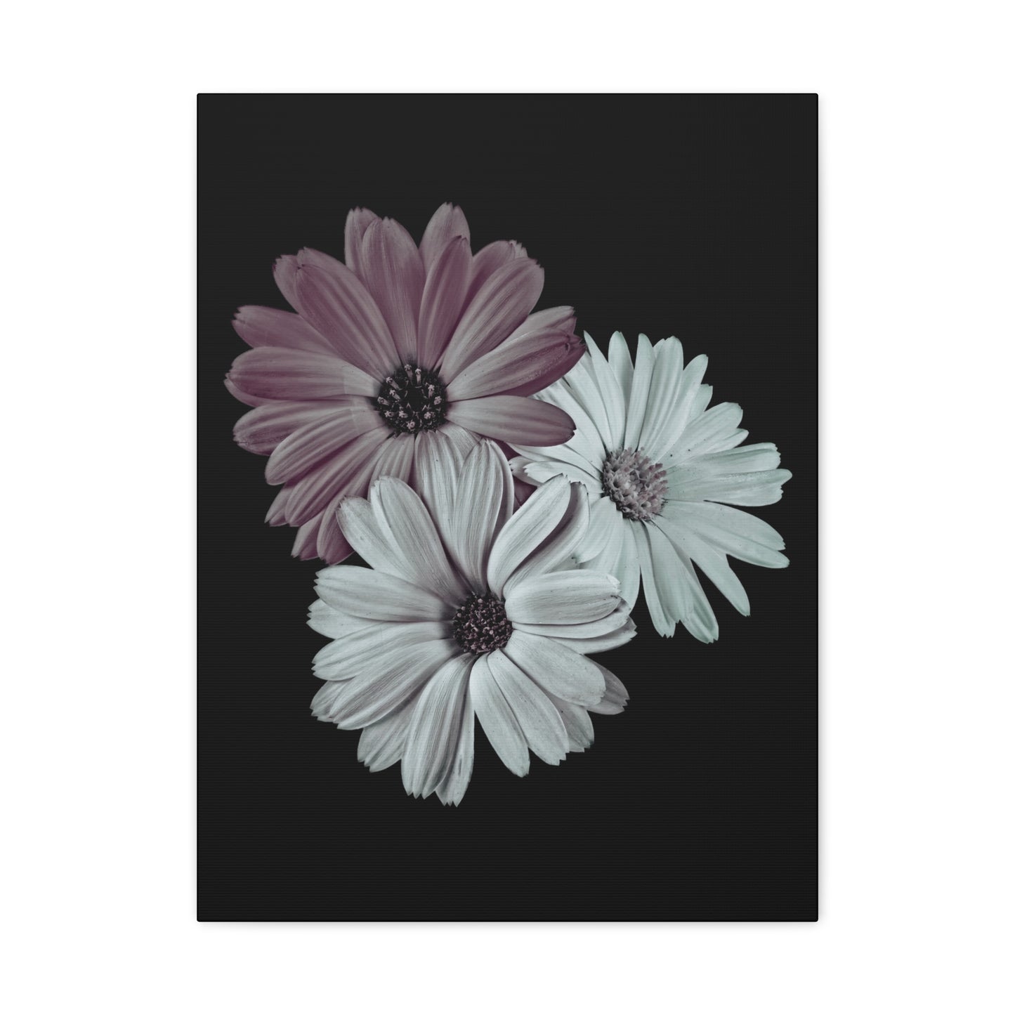 Collection Signature "FLORAL Numéro 5" sur Toile Fine Art sur Toile / Epaisseur 3,2cm - 1'25 po