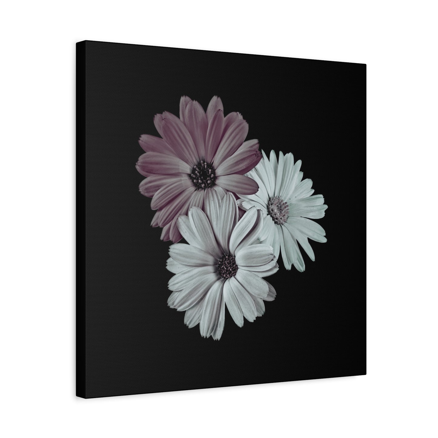 Collection Signature "FLORAL Numéro 5" sur Toile Fine Art sur Toile / Epaisseur 3,2cm - 1'25 po