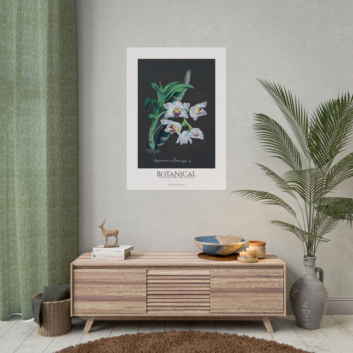 Botanical - Orchidées Pl.60 (19th Century) / Affiche imprimée - Série ART's Collection