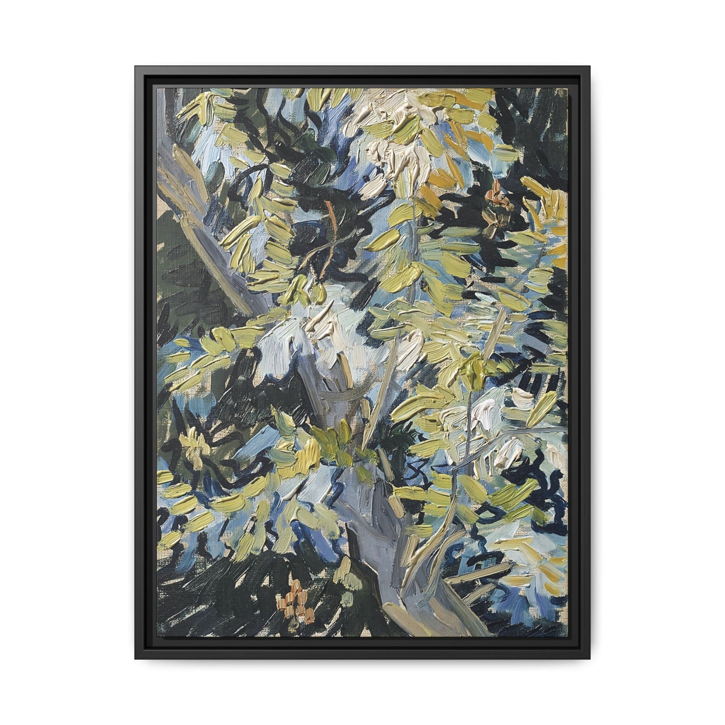 Acacia in Flowers by Vincent van Gogh / Toile encadrée sur caisse américaine